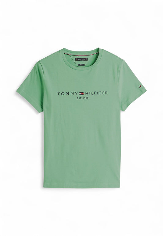 TOMMY HILFIGER T-Shirt Uomo Verde MW0MW11797L3J-PE25