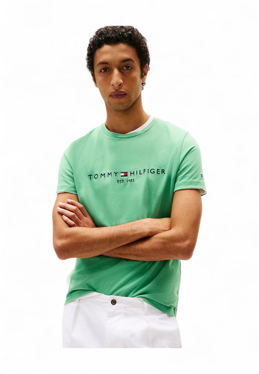 TOMMY HILFIGER T-Shirt Uomo Verde MW0MW11797L3J-PE25