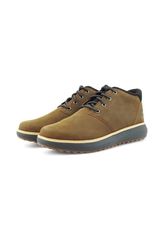 TIMBERLAND Stringate Uomo Marrone TB0A69Q5W071-AI26