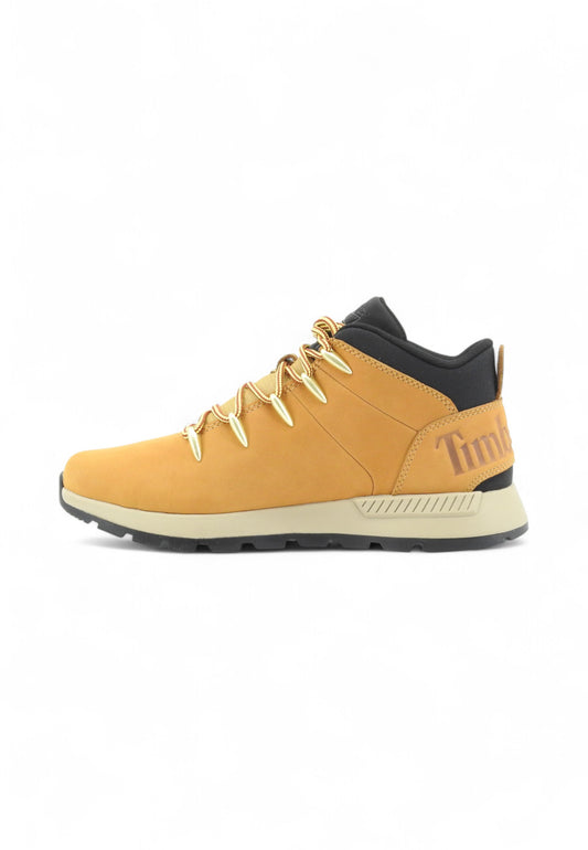 TIMBERLAND Sneakers Trekking Uomo Marrone TB0A1XVQ2311-AI26
