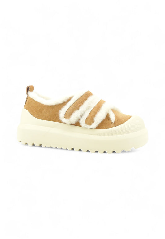 COLORS OF CALIFORNIA Sneakers Donna Marrone HC.HOODY11-AI26-TAN