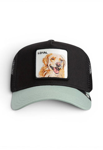 GOORIN Cappello Trucker Loyal Uomo Nero Verde 101-0505-PE26