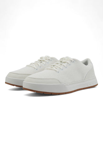 TIMBERLAND Maple Grove Oxford Sneaker Uomo Natural Bianco TB0A5PNRDR2 - Sandrini Calzature e Abbigliamento