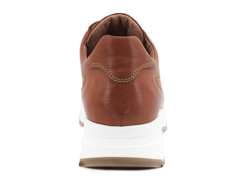 ALVIERO MARTINI 1A CLASSE Sneakers Donna Geo Brown N0725-0030