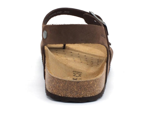 GEOX D Brionia Sandalo Fibbie Marrone Coffee D02LSE00032C6009 - Sandrini Calzature e Abbigliamento